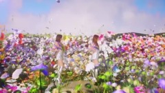 Alom "    of pattern of rain of female は of seco