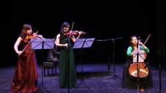 Happy quartet of lakefront tweedle string " the Y