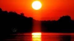 Short of music of She Is The One_