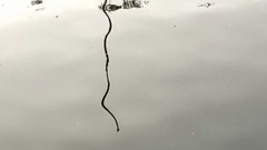 [of a person afternoon] scenery of fabulous work _