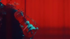 Fall_ Japan galaxy, superfly