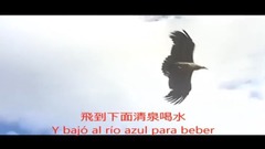 Short of music of Ndor Pasa _ of El C ó