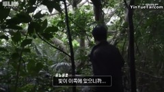 Law of new edition forest - Oriental god of MBC Du