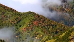 Put short of pluvial _ music on the ice