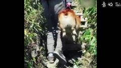 Ke Ji handbag understands tide of new 2018 fund! _