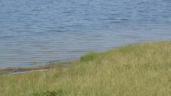 Q 8 Rd, chilmark Martha's Vineyard, massachusetts