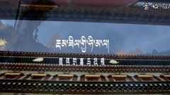 Grand happy horse pulls galaxy of elegant _ Chines