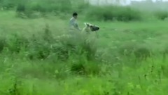 Galaxy of my Chinese of _ of home town Inner Mongo