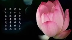 Short of music of lotus graph _