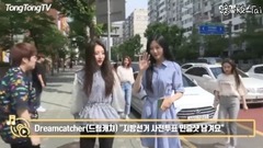 Beforehand of local government election is voting