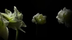 Scenery of piano music _ , musical short, light mu