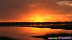 Deliver short film of poetic _ music