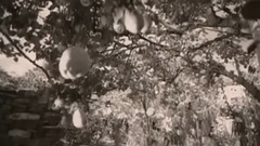 Return To Innocence_Enigma