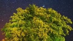 The galaxy of music of travel Trip To Namibia_ of