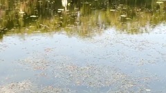 [this one Cheng of piano music of night, situation