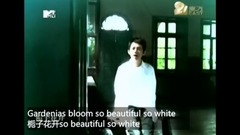 Article edition _ imitates Cape jasmine Hua Kaiyin