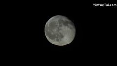 Short of music of You're Not Alone_