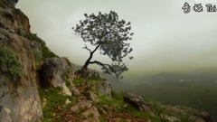 Scenery of Elian West - Higher Senses By Yeiskomp