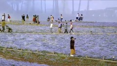 Day of Ci city  Bao  establishs short of music of 