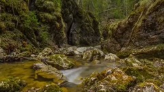 The scene _ scenery with absolutely beautiful Swit