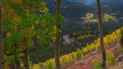 Sweden Abisiku scenery of _ of national park scene