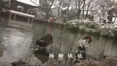 The Book of Songs - small elegant collect osmund _