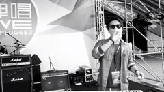 Galaxy of _ of dog pilfer crow