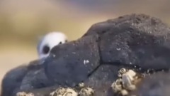 The adventure that send Po writes down _ Eurameric