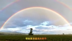 Accompany you to watch short film of prairie _ mus