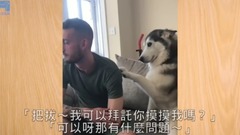 Lovely 2 ha beg host actively to feel get along be