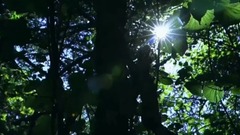 Fields Of Fortune_Secret Garden, former voice of m