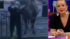 Make short film of laugh music of news broadcast _