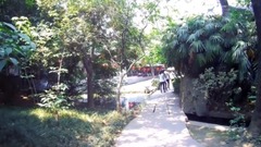 South outskirt park - 005 " chase a dream to make