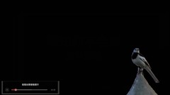 Know perfectly well you to won't come _ is imitat