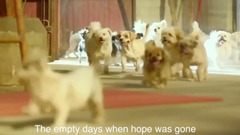 Film of Never Let You Go " jail dog plans " love