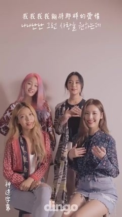 Caption of Sino-South Korean of Wonder Girls Why S