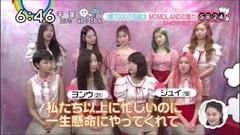 180624 [Nihon TV] MOMOLAND - ZIP! Premonitory intr