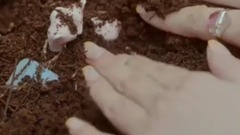 Peak " kiss gently " short of music of _ of DJ d