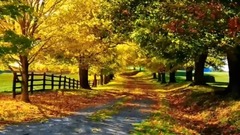 Chinese connects short of music of edition music _