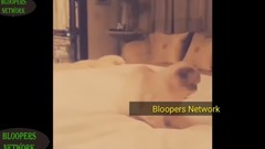 Taylor Swift Funny Moments With Cat's_Taylor Swif