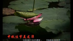 Short of music of _ of beautiful mid-autumn Long T