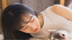 " years of brightness of foal of yellow home of t