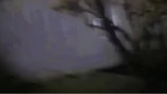 Phoenix city forgets collection China prevue galaxy of _ of 2 Chinese caption, euramerican galaxy, f