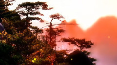 Do not forget first heart _ Tan Weiwei, han Lei