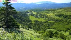 Spring short of music of dance music _