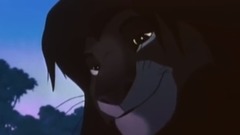 Euramerican galaxy of Can You Feel The Love Tonigh