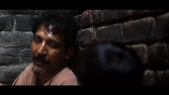 My pure land is premonitory galaxy of _ of meal pl