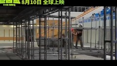 1: of titbits of other of gigantic tine shark? For