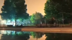 2: of titbits of other of gigantic tine shark?  