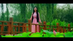 Your _ in the dream holds the post of wonderful to